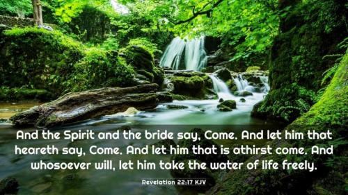 c1d71271-6090-4041-92a5-082c52bd3836