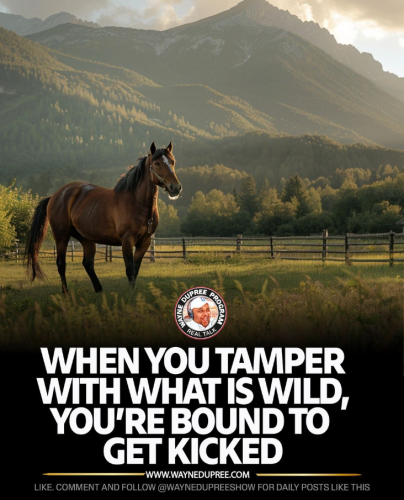 Screenshot 2024-05-28 125913