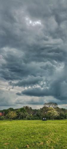 IMG_20240507_161428564-01