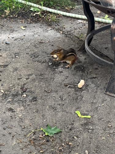 82D25DF9-7C7B-4388-ACF9-C750CA1E2D82