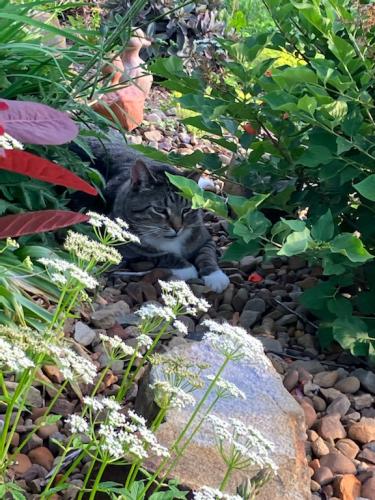 83181BF9-CE7D-4532-B226-A309B77CB017