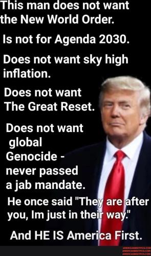 f738dbf7fdf766aaf7a8ee135f4e75a80cd1b404112d80b81f9b652d35a2dba2_1