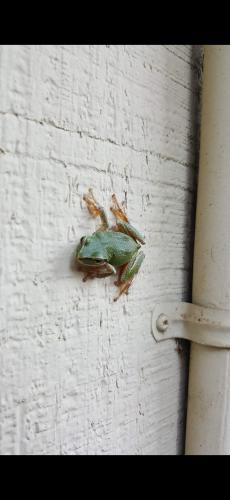 Screenshot_20240502_054324_Photos