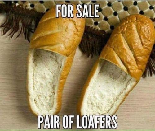 441378955_8147133841983522_405680202757723282_n