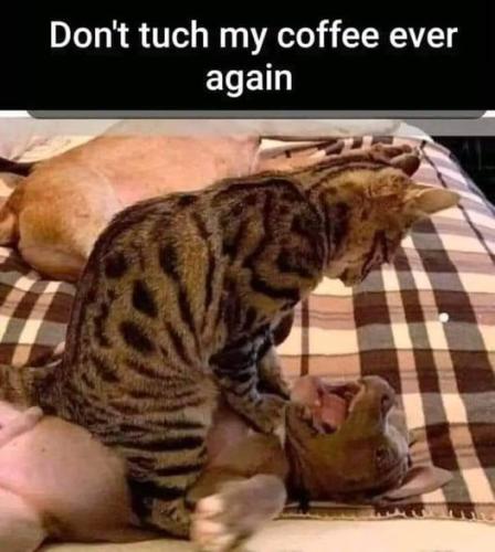 445387134_1519190785607690_4831351732806177590_n