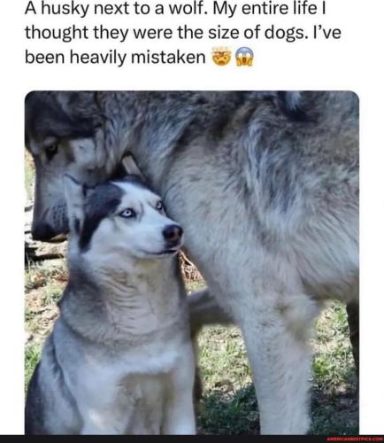 8ba31bc7e16391044554a9c5b9b084b4e5a2b4b4bf1053798d757299e8f1c9a2_1