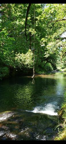 Screenshot_20240527_193350_Photos