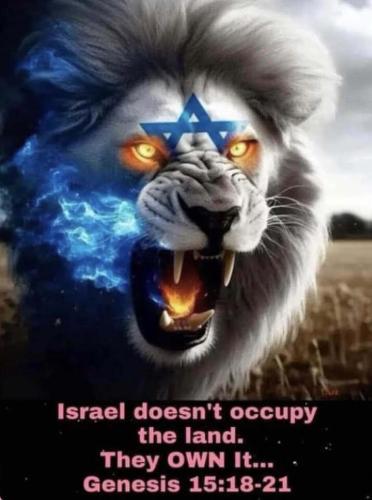 Israel doesn't occupy the land they own it
