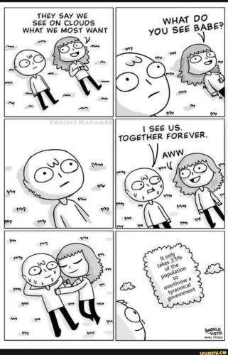 image_16CD285F-6491-4B9E-8297-A7C5A9BEC408