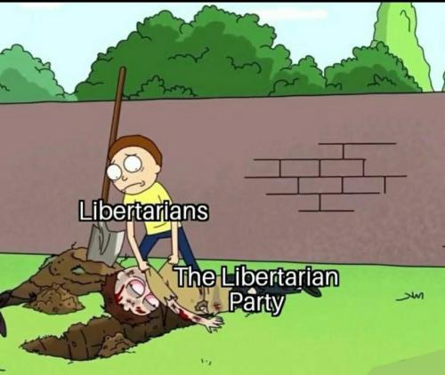 image_77D1F993-E576-421C-A335-F9C5C8F1A9BD