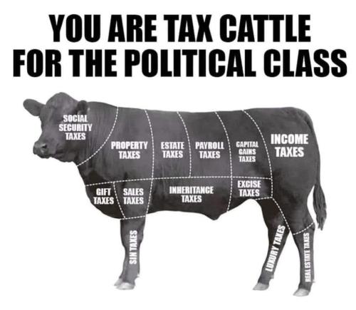 Screenshot_20240515_020426_Instagram