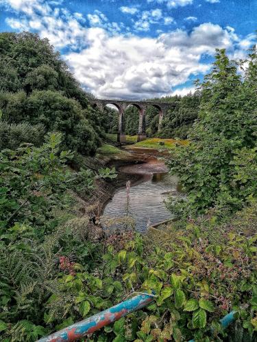 IMG_20220831_133226-01