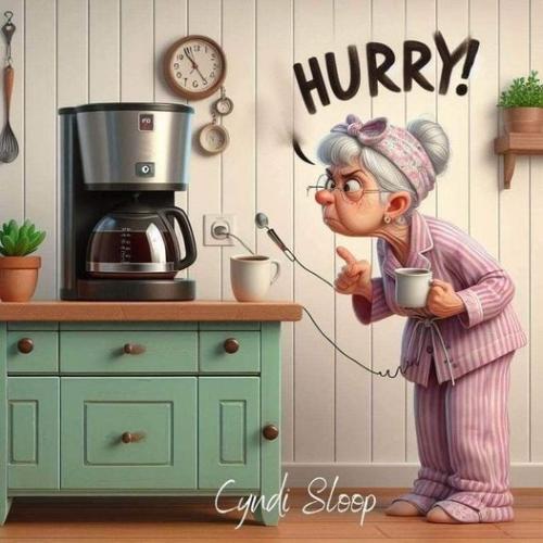 442409828_1447504129487173_2422463279770758286_n