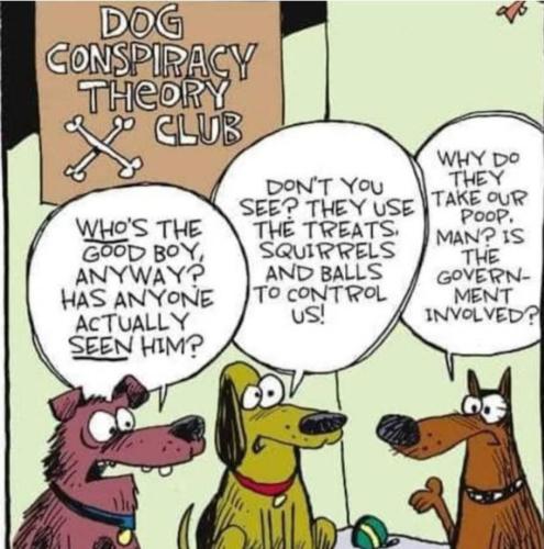 image_40B3DE2D-19BE-44E3-8CE4-7F79C901CF61