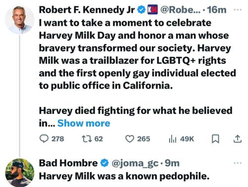 harvey milk