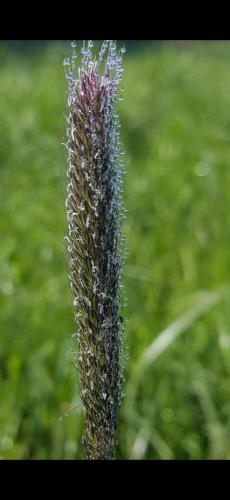 Screenshot_20240522_144545_Photos