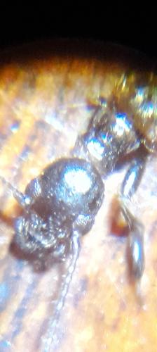 Screenshot_20240520_212642_Gallery