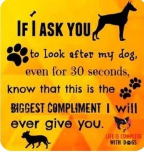 33b26b0afa6379ee4cc04de2f25895c4