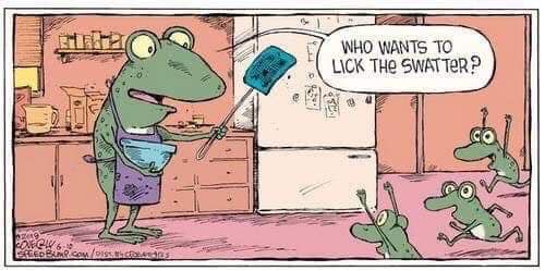 440972811_8281034945246410_3743273192187317613_n