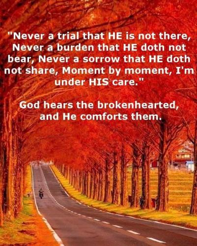 82997518-53e1-4aa1-9448-37eab639a995