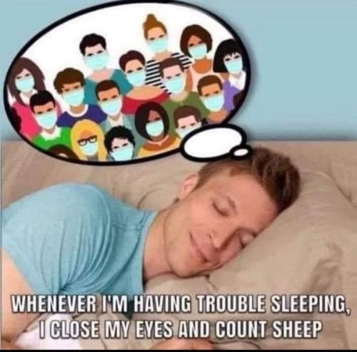 Counting sheep for sleep