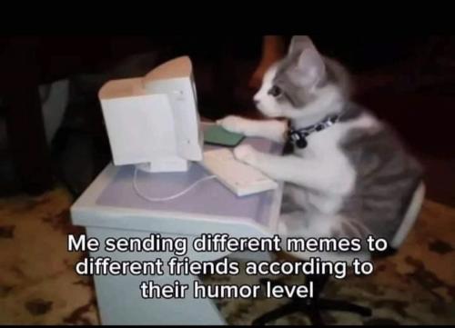 Screenshot_20240520_065413_Facebook