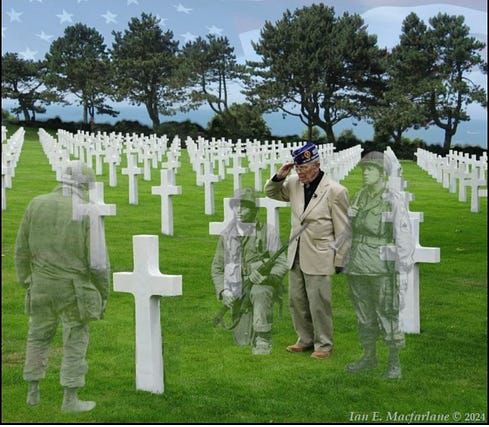 Veteran at memorial day cemetary