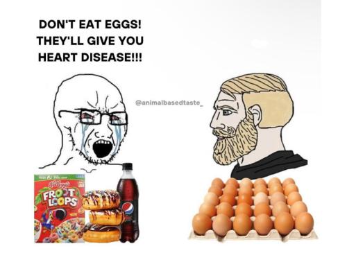 f4926487-95c2-4839-85ef-45f7b1fab68b_908x664