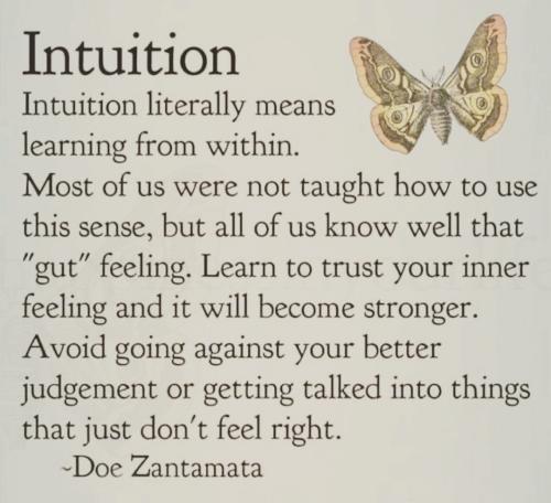 IMG_20240505_035633_481