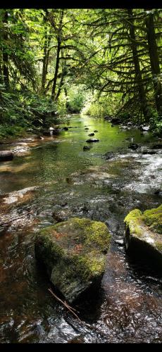 Screenshot_20240527_193032_Photos