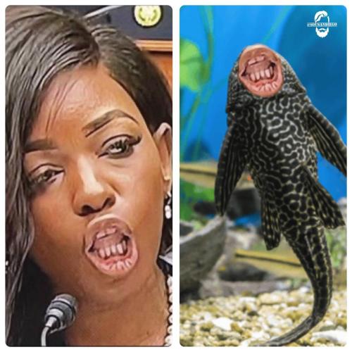 image_18A07DCF-AB18-49B0-801B-6E13FC9EAF6F