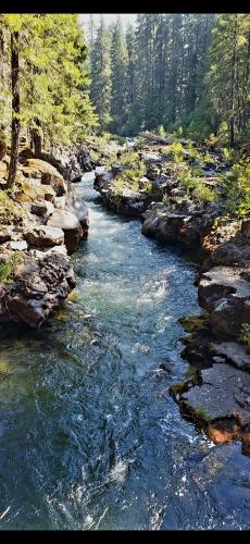 Screenshot_20240527_193859_Photos