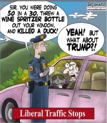 image_C6798286-3649-4846-8C54-F898C74D5445