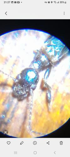 Screenshot_20240520_212701_Gallery