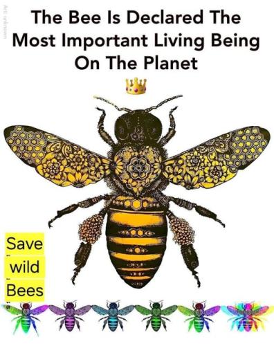bee