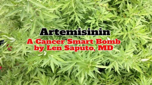 Artemisinin A Cancer Smart Bomb.960px