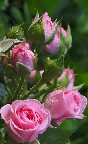 img-d9548d59