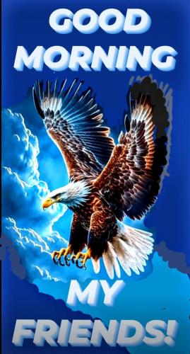 1a27f42819d72d5dceb2cd7a63661113