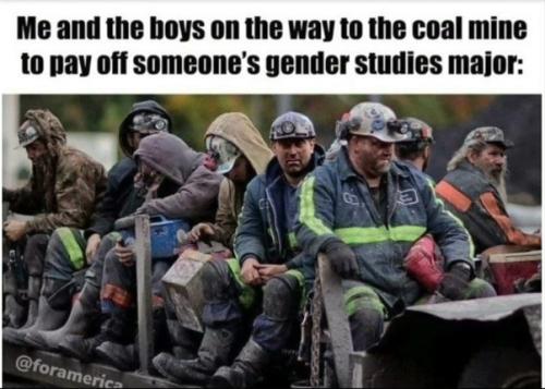 GENDER STUDIES 666666666666