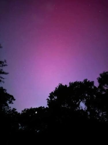 Lots of deep pinks & purples