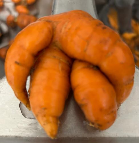 F7066D89-7DAB-45AF-8937-C48276729CD6