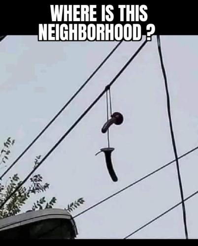 image_B2171764-426A-47AD-92F2-5739777D34DF