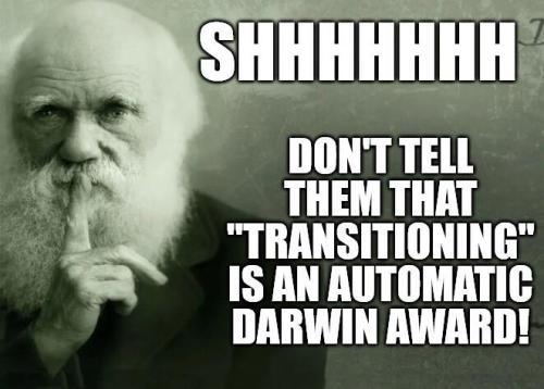 Darwin+-+Automatic+Award