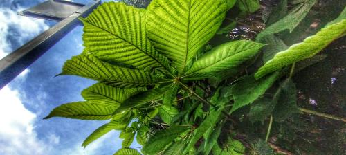 IMG_20240517_111710403-01