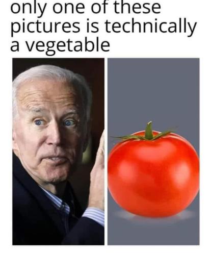 274a9a10-8078-4a48-906e-444f811f8247