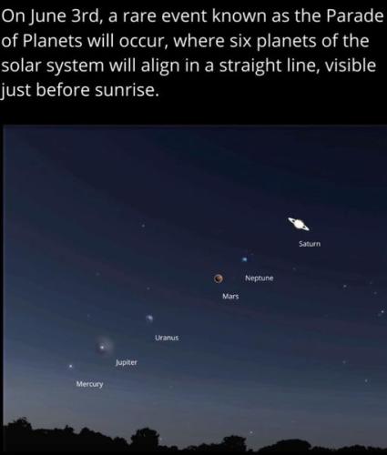 ,                              ,    ,