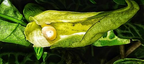 IMG_20240507_114121579-01