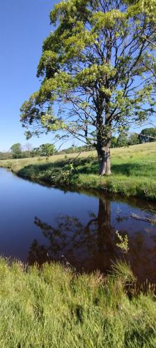 IMG_20240519_093627342