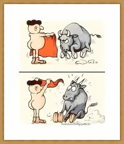 441362098_122219041610001627_833974248313668592_n