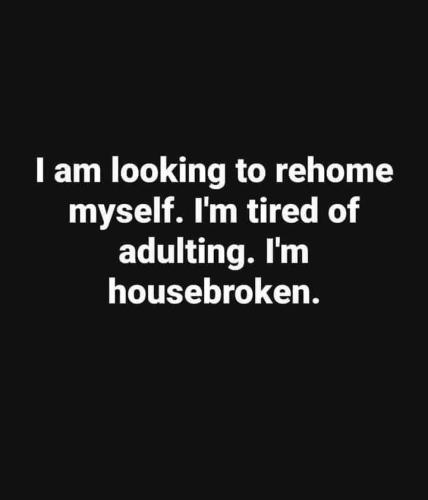 image_B13CC0AF-15D1-49EE-BEEA-E8546F0B96E1